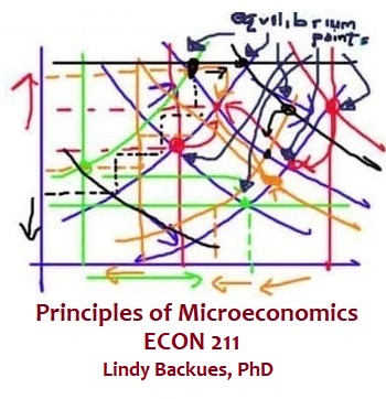 (2022-23 FA) ECON 211 A